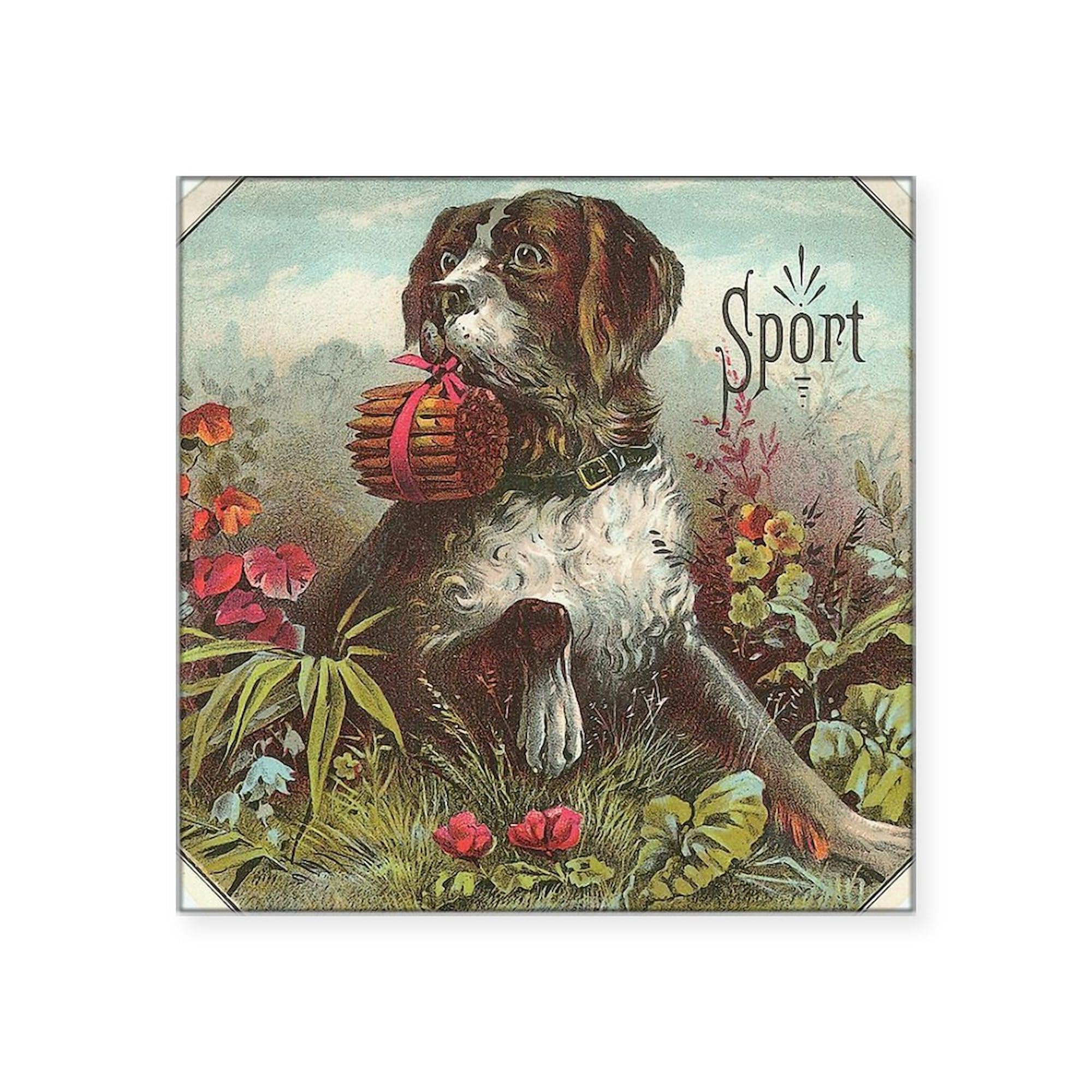 Sport Dog with Cigars Square Sticker - 3x3 Inch Bumper Decal for Cars, Laptops & Water Bottles - Funny Car Accessories & Unique Gift Ideas