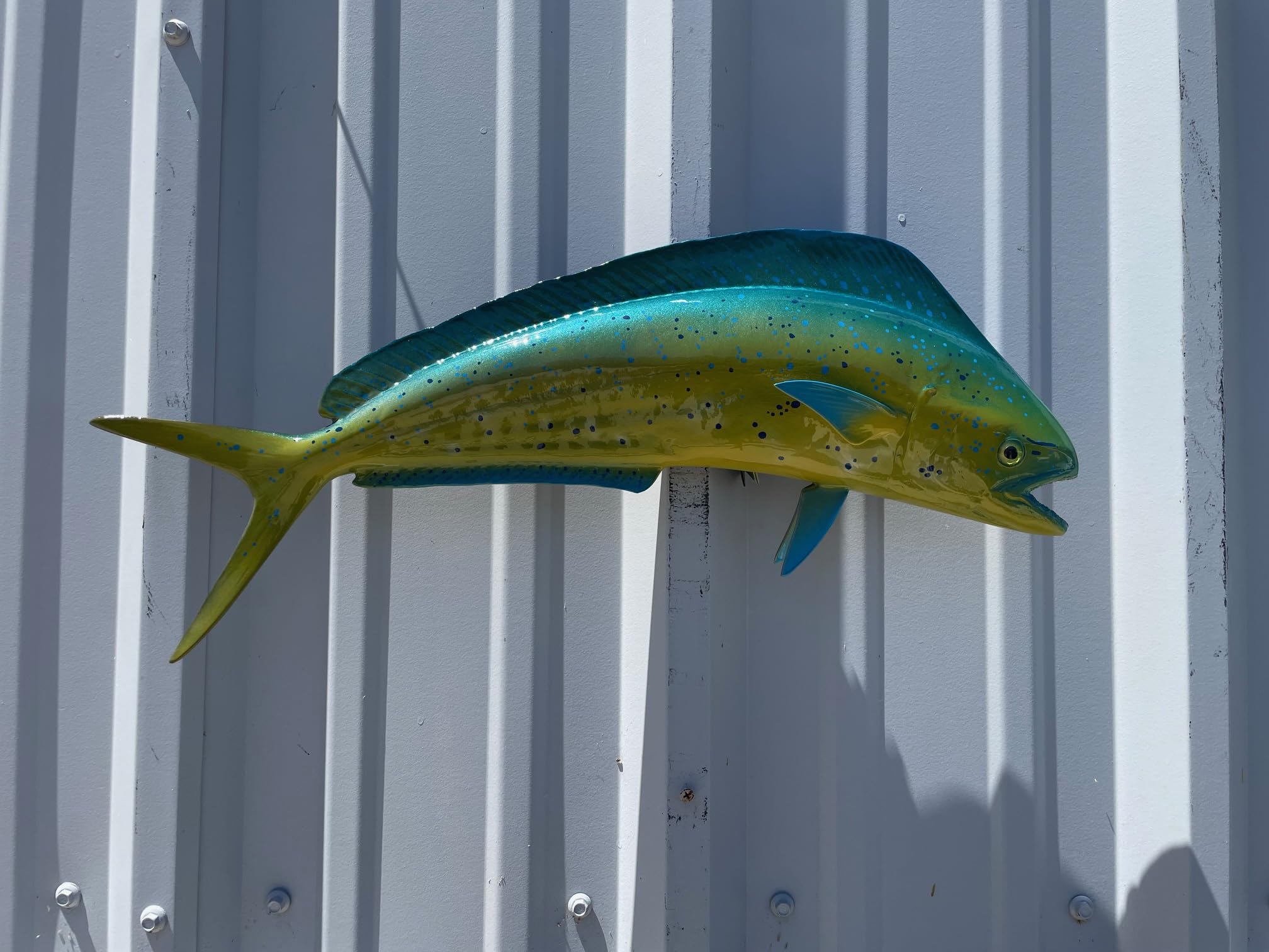 Bull Dolphin Two-Sided Wall Mount Fish Replica - Lifelike Fishing & Coastal Home Decor for Beach House, Nautical Theme Room, or Ocean Lover's Gift