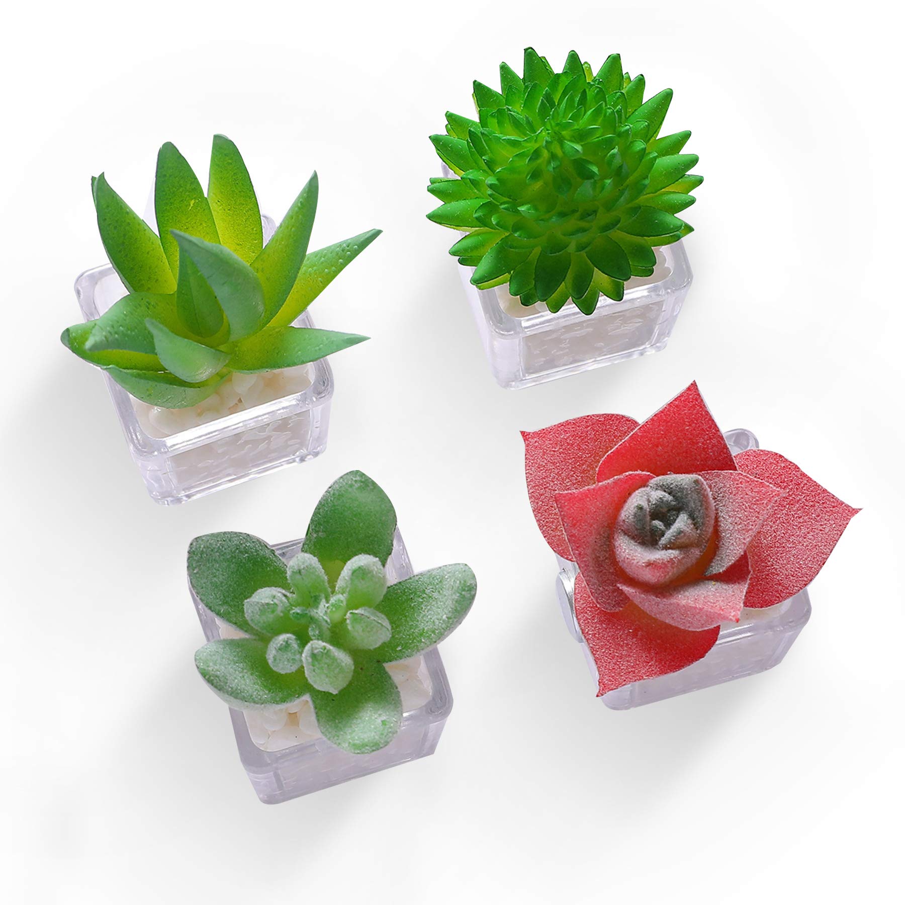Hey Foly Set of 4 Cute Mini Artificial Succulent Fridge Magnets - Refrigerator, Whiteboard & Office Decor - Perfect for Kitchen, Home & Workspace Organization