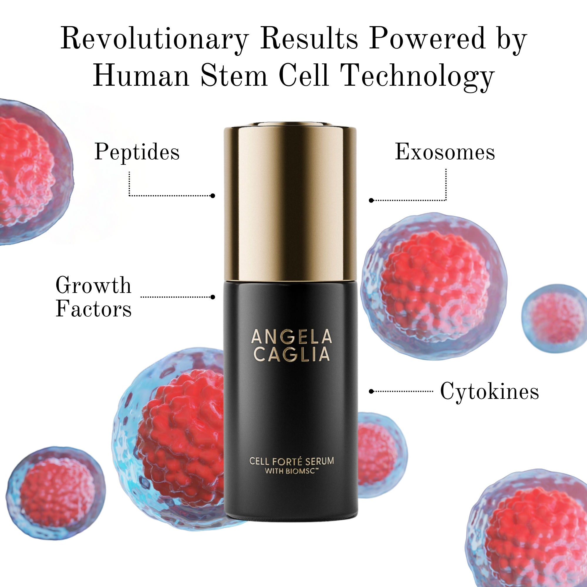 Cell Forté Serum with BIOMSC - Anti-Aging Face Serum for Wrinkles & Fine Lines | Hydrating & Firming Skincare for Daily Use & Night Routine
