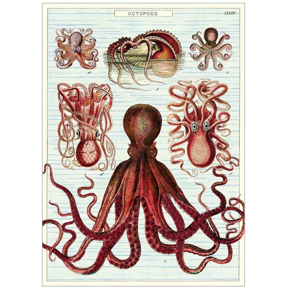 Premium Octopus Wrap - Soft & Stretchy Fabric for Comfortable Wear - Perfect for Yoga, Running, and Outdoor Activities