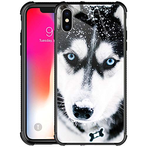 Husky Dog Muzzle Blue Eye
