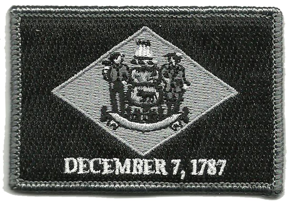 Gadsden & Culpeper Tactical Embroidered Patch - Delaware State Flag Design | Military, Police, First Responder Gear Accessory | Perfect for Vests, Backpacks & Tactical Gear
