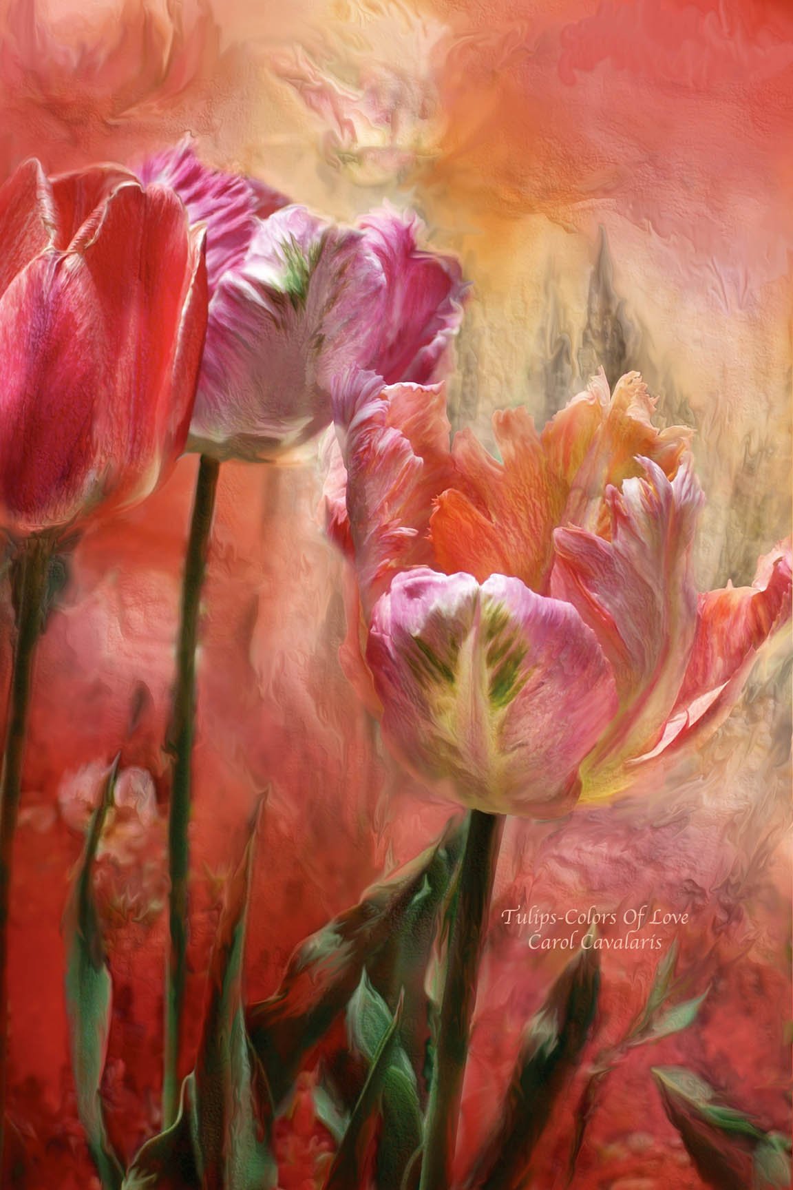 Wallhogs Cavalaris Tulips - Colors of Love Glossy Poster Print 32x48 Inches - Vibrant Floral Wall Art for Living Room, Bedroom & Office Decor