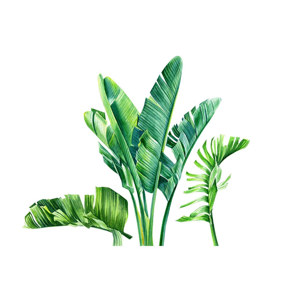 COOH Peel and Stick Wall Decals - Self-Adhesive TV Backdrop Mural for Bedroom & Living Room - Green Botanical Home Decor Stickers for Women - Perfect for Accent Walls, Nursery, Dorm & Apartment Decor