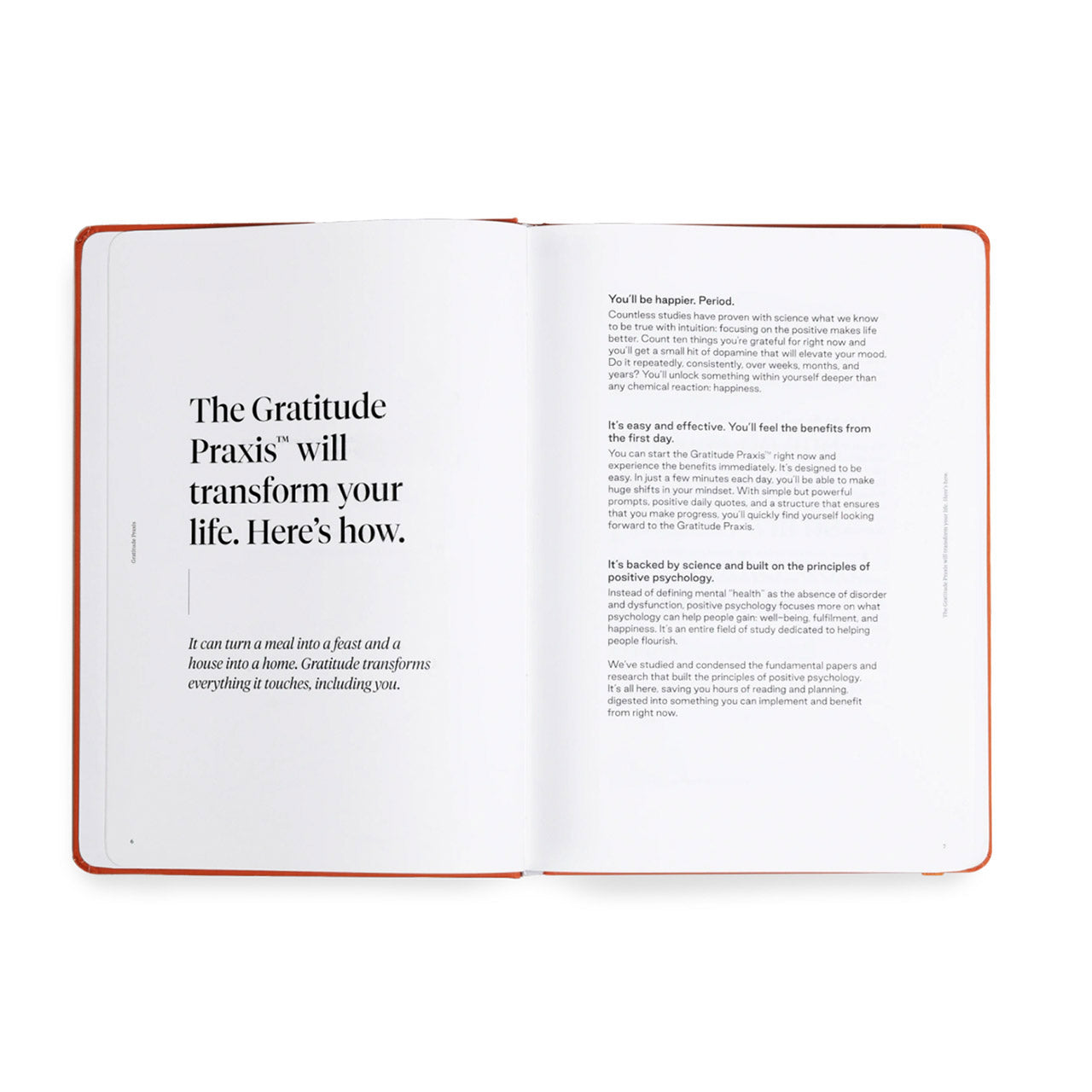 Karst Praxis Journal - Premium Notebook for Geologists & Cave Explorers - Perfect for Field Notes, Research & Outdoor Adventures