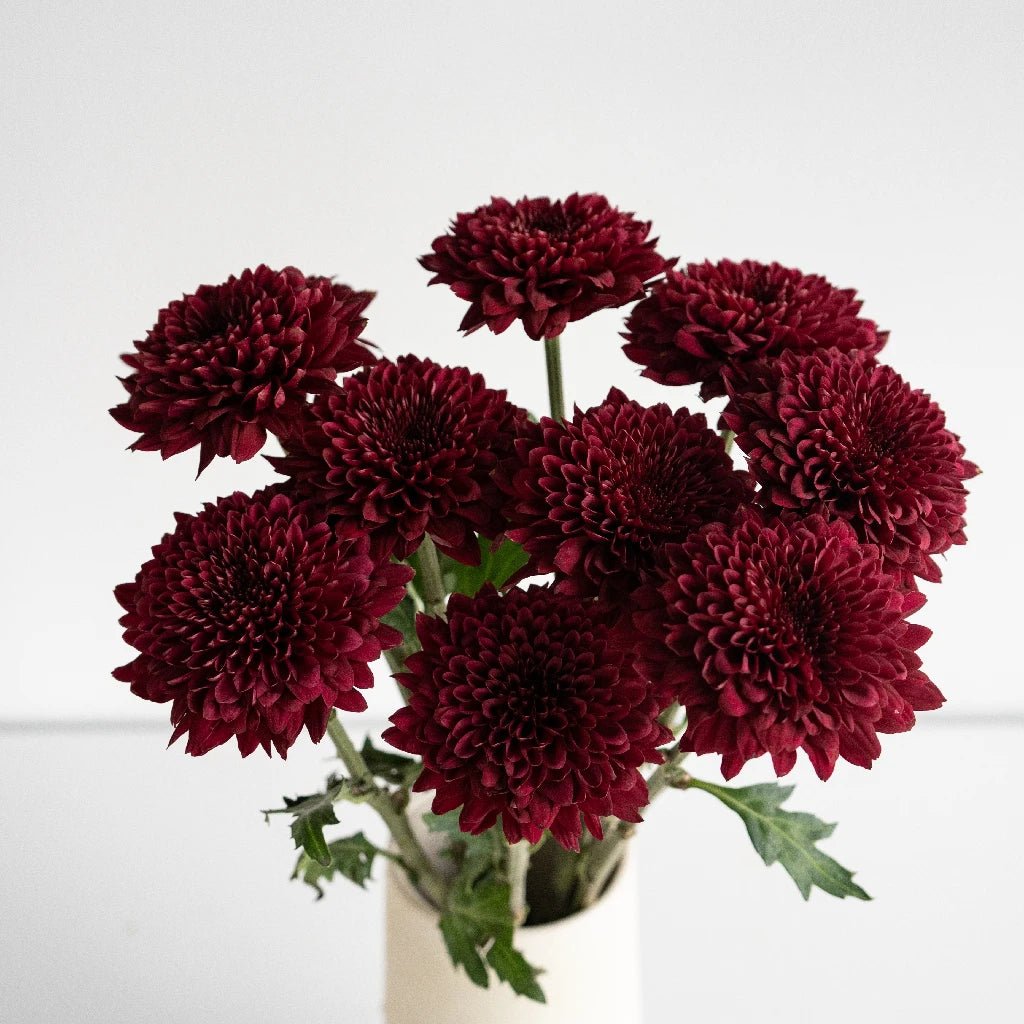 Bolero Red Cremon Flower - Premium Artificial Silk Flowers for Home Decor, Wedding Bouquets, and Event Centerpieces