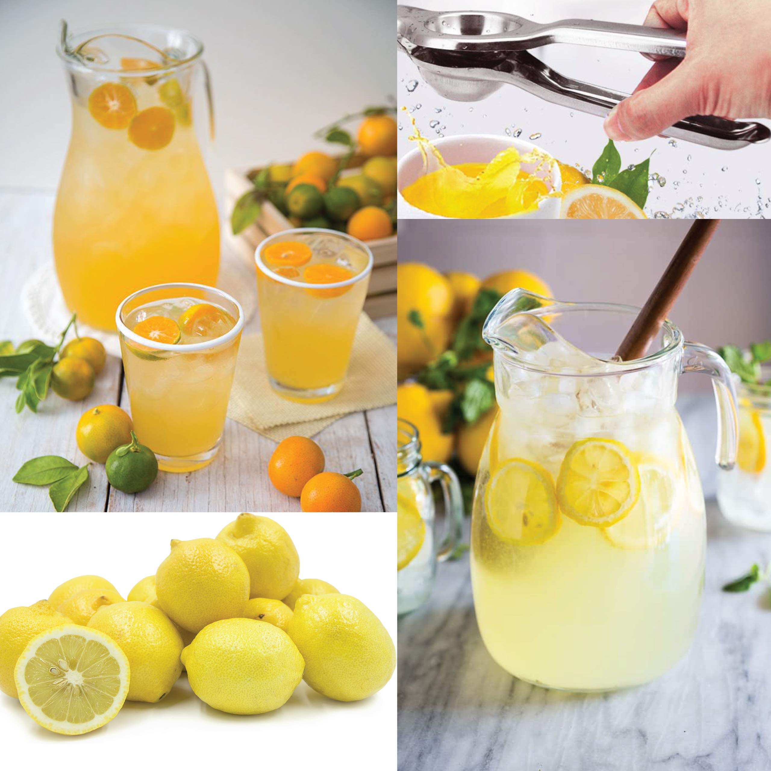 Premium Jumbo Size 100% Stainless Steel Lemon Squeezer - Heavy Duty Citrus Press for Lime, Orange & Lemon - Includes Free Citrus Tap - Perfect for Bars, Restaurants & Home Kitchen Use