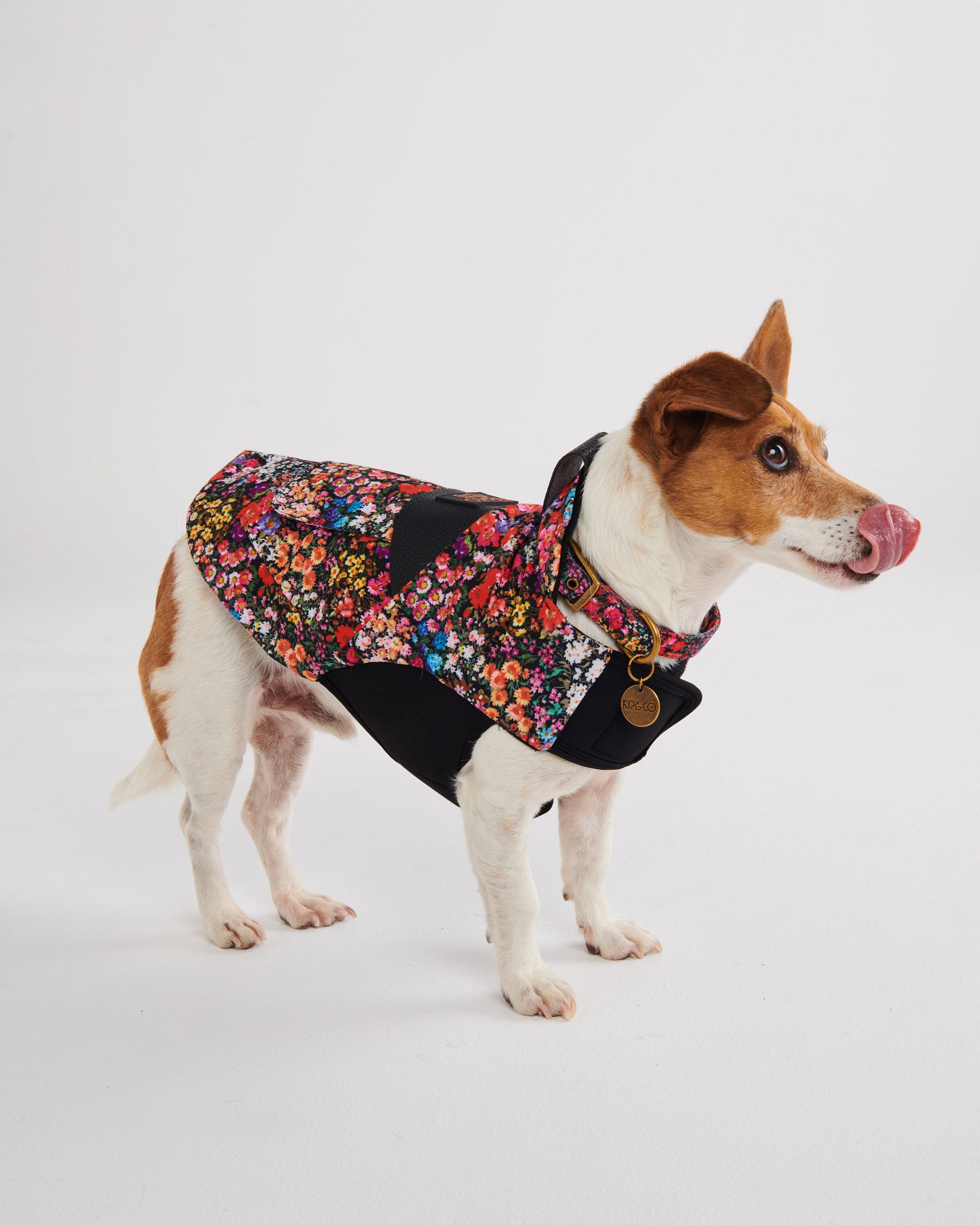 Forever Floral Black Dog Collar - Adjustable Pet Collar with Durable Nylon & Floral Pattern for Small Medium Large Dogs - Perfect for Walks, Training & Everyday Wear