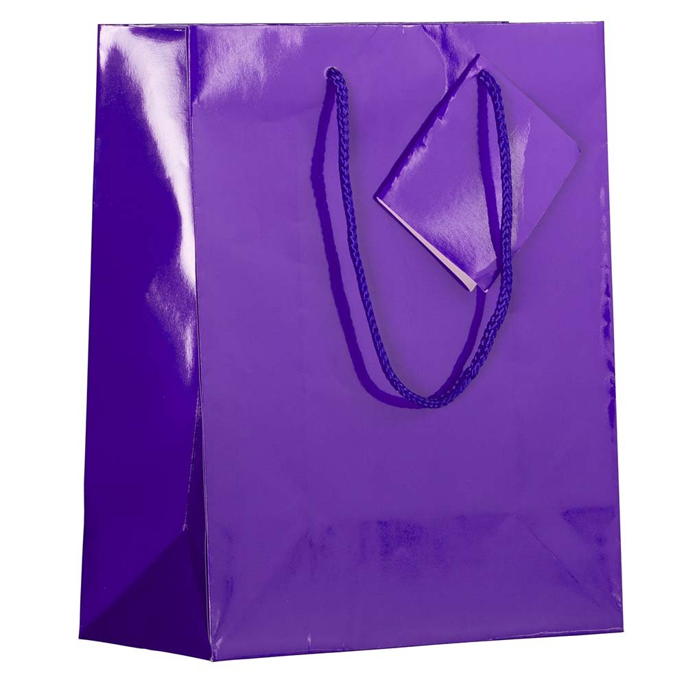 JAM Paper Glossy Purple Gift Bags with Rope Handles - 8x4x10 Inches Medium Size - Bulk Pack of 100 - Perfect for Birthday Parties, Weddings & Corporate Events