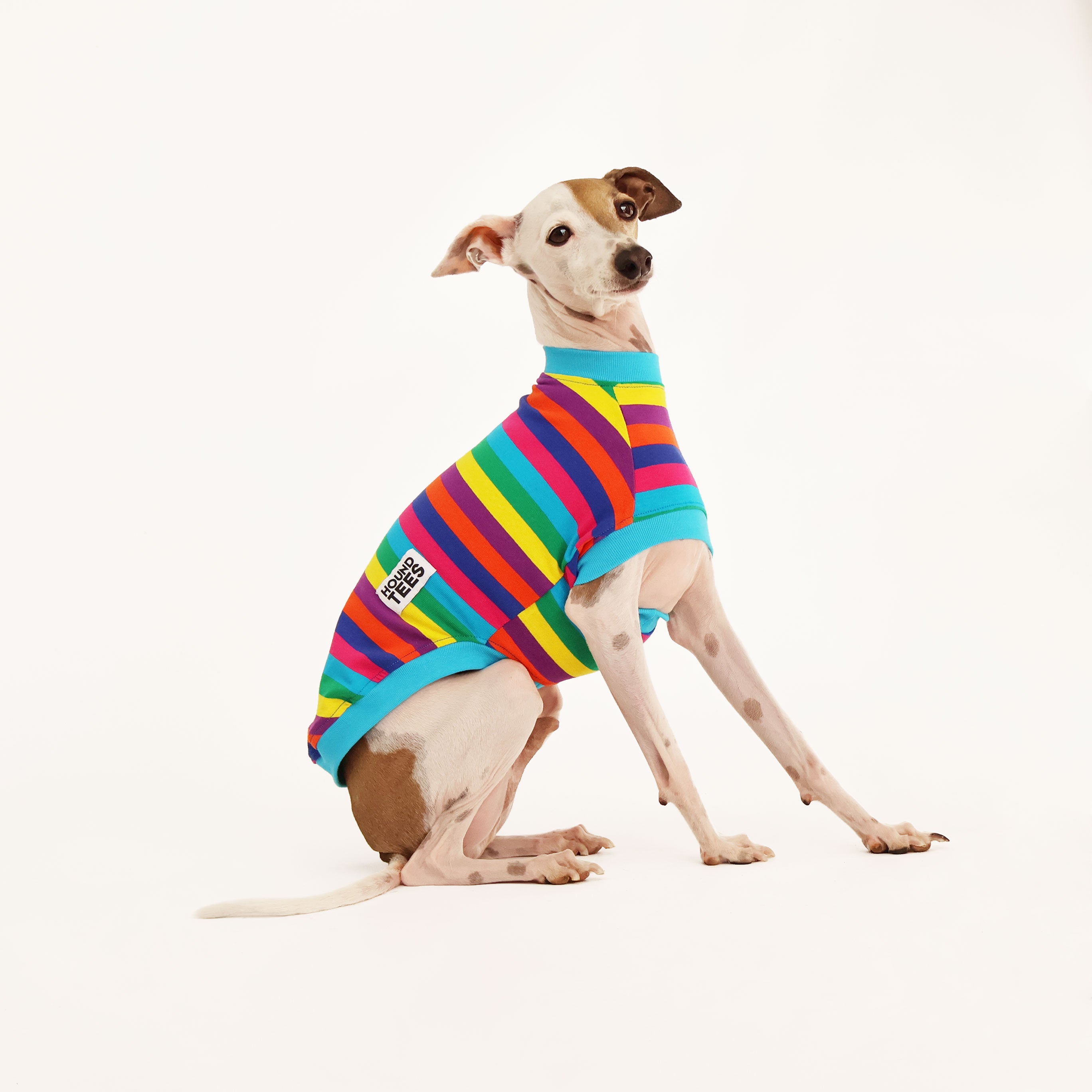 Italian Greyhound Dog Lover T-Shirt - Sleeveless Candy Print Tee for Women - Perfect for Casual Wear, Dog Walks & Pet Lover Gifts