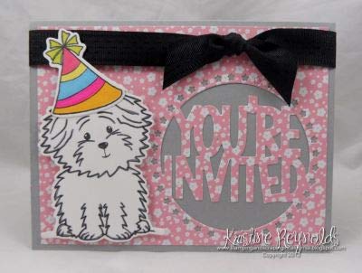 Birthday Sentiment Stamps for Card Making & Scrapbooking - Birthday Dog & Cookie Designs by The Stamps of Life - Perfect for DIY Greeting Cards, Invitations & Memory Albums