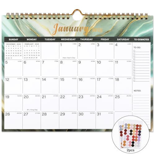 2025-2026 wall calendar veins