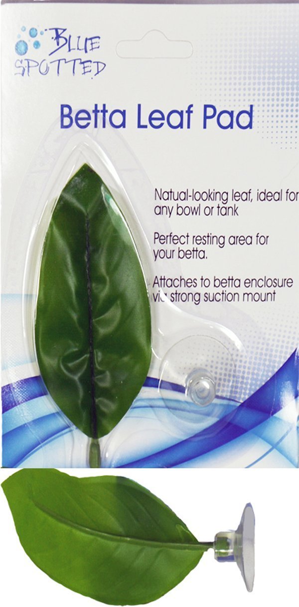Blue Spotted Betta Fish Leaf Pads 3 Pack - Natural Aquarium Plants for Betta Fish, Tropical & Saltwater Fish Tanks - Perfect for Resting, Breeding and Decorating Aquariums