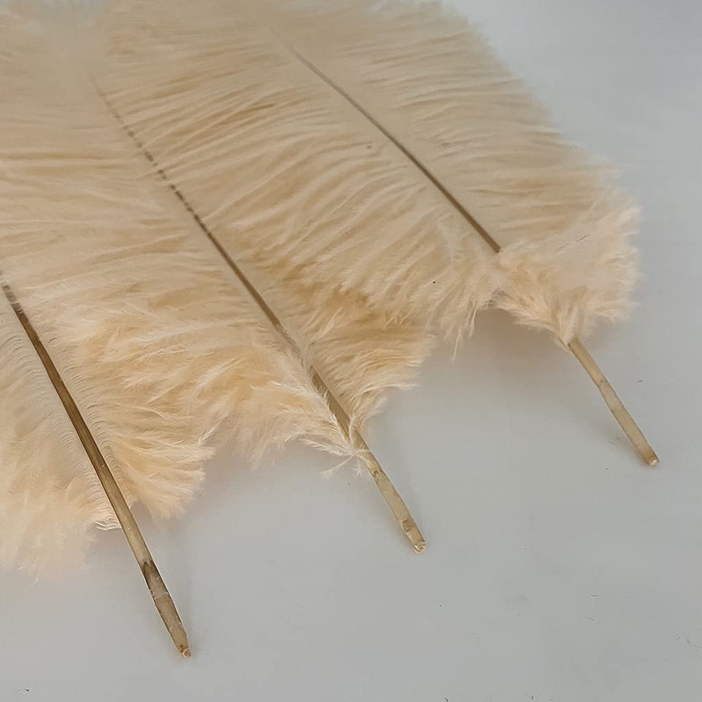 LONDGEN 5pcs 16-18inch Ostrich Feathers for Wedding Centerpieces & Home Decor