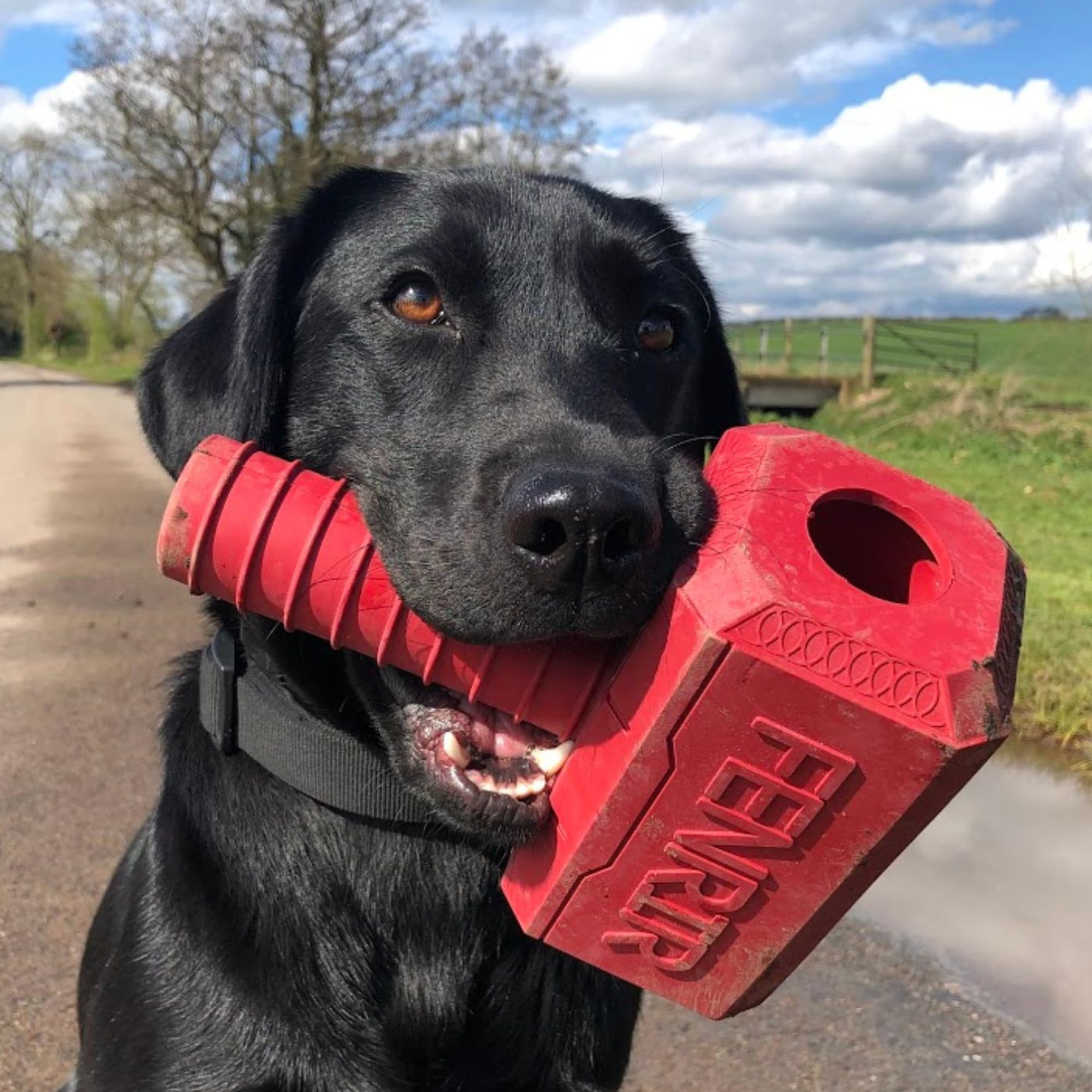 Fenrir Hammer Chew Toy for Large Dogs - Durable Red Rubber Chew Toy for Aggressive Chewers - Perfect for Teething Puppies & Stress Relief