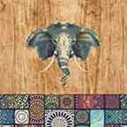 Indian Elephant