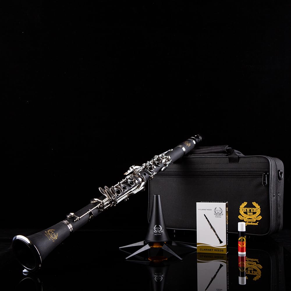 Professional Bb Clarinet with 17 Nickel Keys - Ideal Woodwind Instrument for Beginners & Students - Includes Hard Case, Stand, 10 Reeds & Cleaning Kit (Black/Silver) - Perfect for School Band, Orchestra & Music Practice