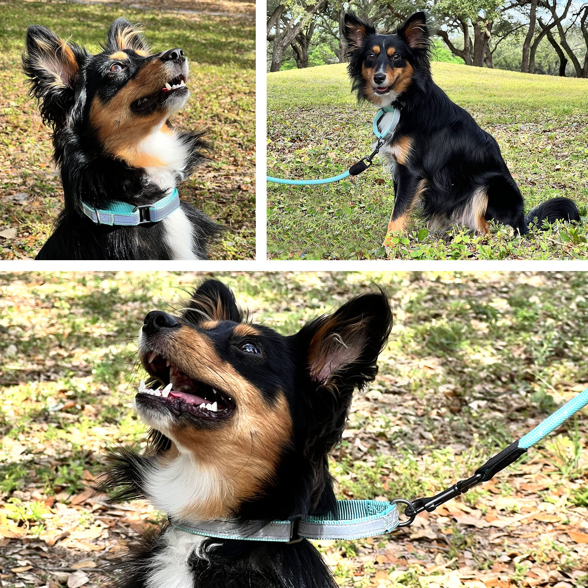 Reflective Martingale Dog Collar - Adjustable Safety Collar for Night Walks, Training & Outdoor Adventures with Bright LED Visibility