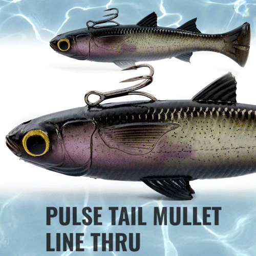 Savage Gear Pulse Tail Mullet 6-Inch Line Thru Fishing Lure - Saltwater & Freshwater Bait for Bass, Pike, and Walleye - Perfect for Kayak, Shore, and Boat Fishing