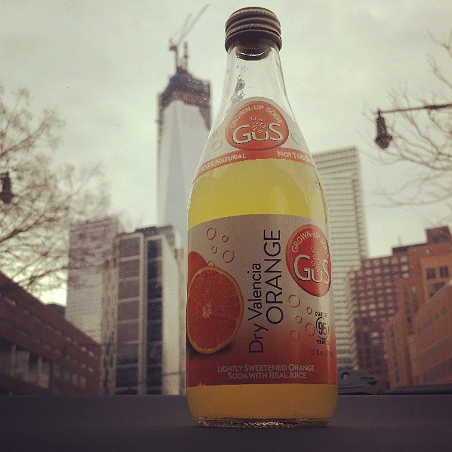 GuS Soda - Dry Valencia Orange - 12 oz (6 Glass Bottles) | Premium Sparkling Citrus Drink | Perfect for Parties, Picnics & Refreshing Moments