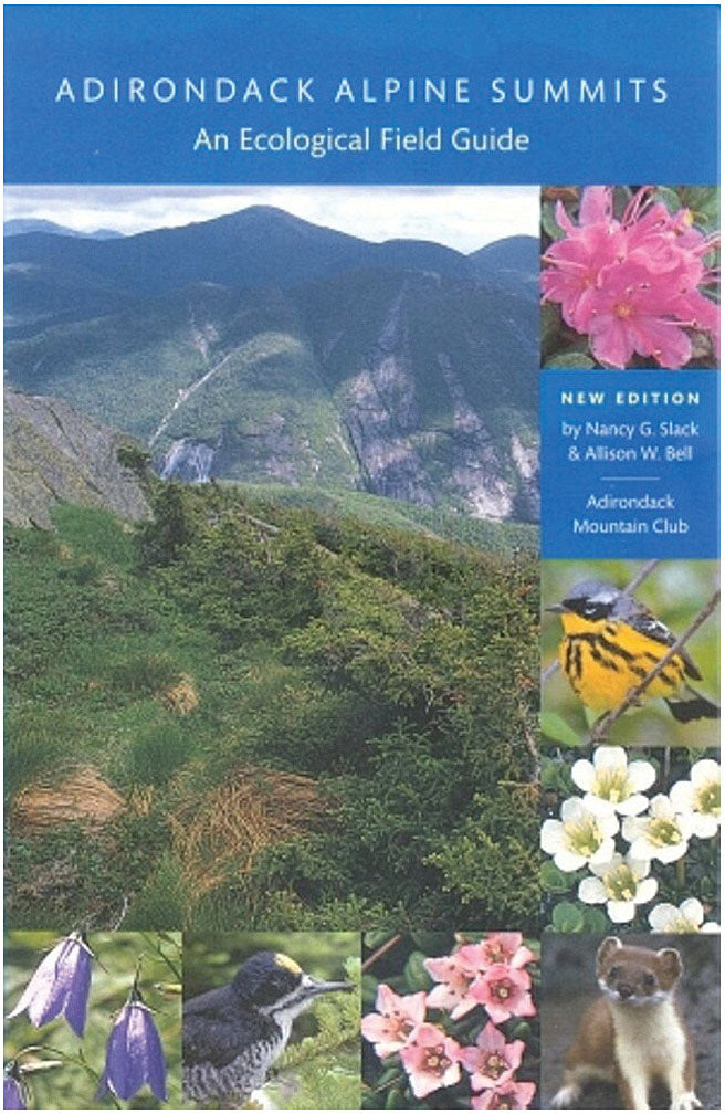 Adirondack Mountain Club Mid Atlantic Hiking & Backpacking Guide Book - Explore Alpine Summits with Nancy Slack & Allison Bell | Perfect for Outdoor Adventures & Trail Exploration