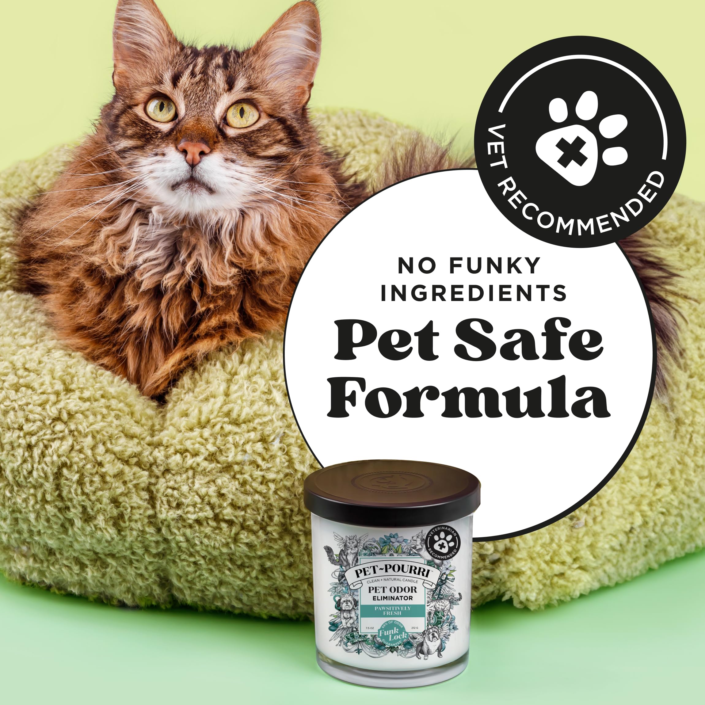 Pet Safe Deodorizer Candle - Plant Based Wax for Pet Odor - Pineapple Scent for Home & Grooming