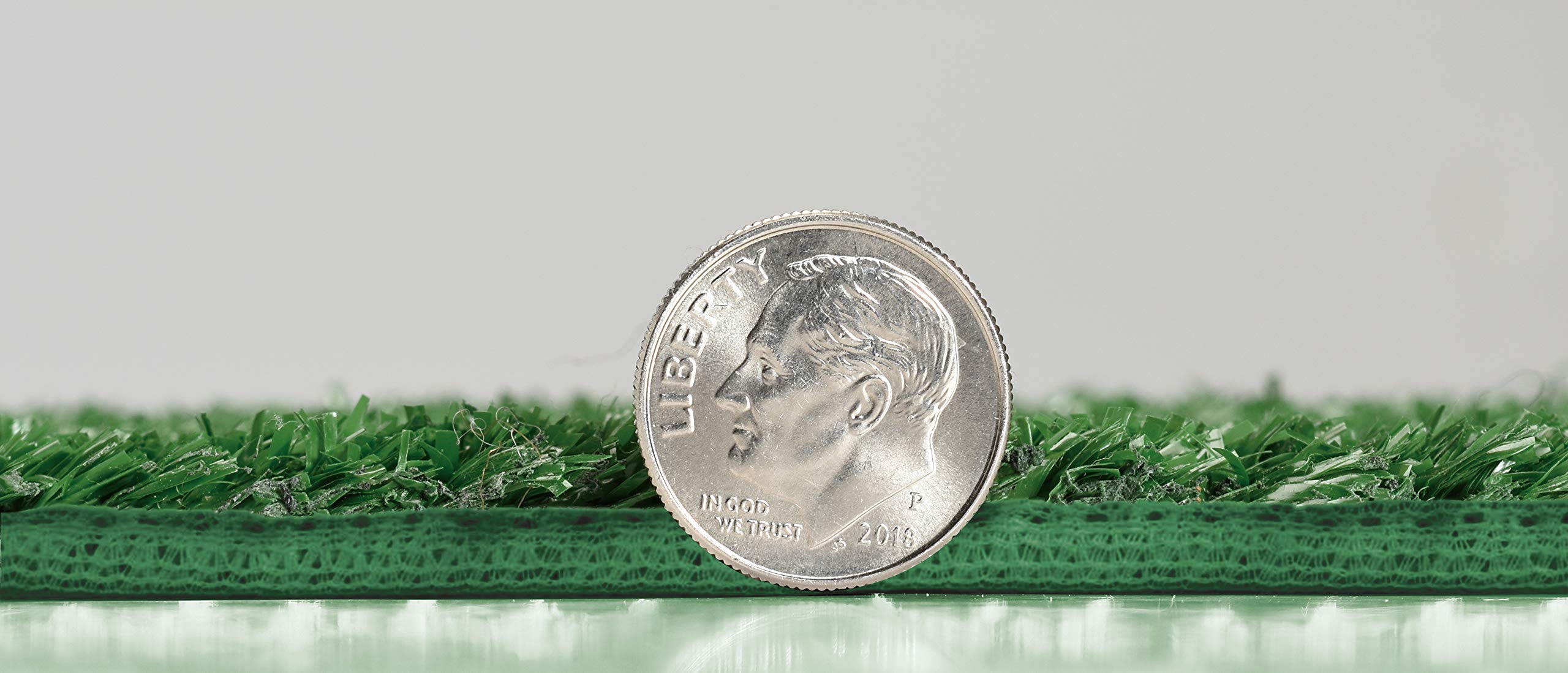 Premium 10' x 12' Artificial Grass Carpet - 5/16