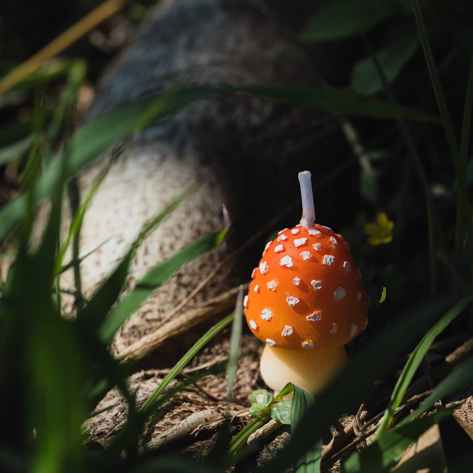 Mushroom Birthday Candles - Decorative Party Candles for Birthday, Wedding Favors & Special Events - Perfect for Cake Toppers, Table Decorations & Gift Boxes