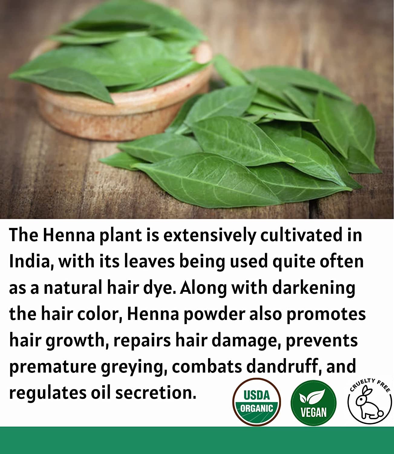 Organic Henna Powder for Hair Dye & Body Art - 100% Natural Lawsonia Inermis Mehndi Powder, USDA Certified by Proud Planet (8oz | 226g) - Perfect for DIY Hair Coloring, Tattoos, and Bridal Mehndi Designs
