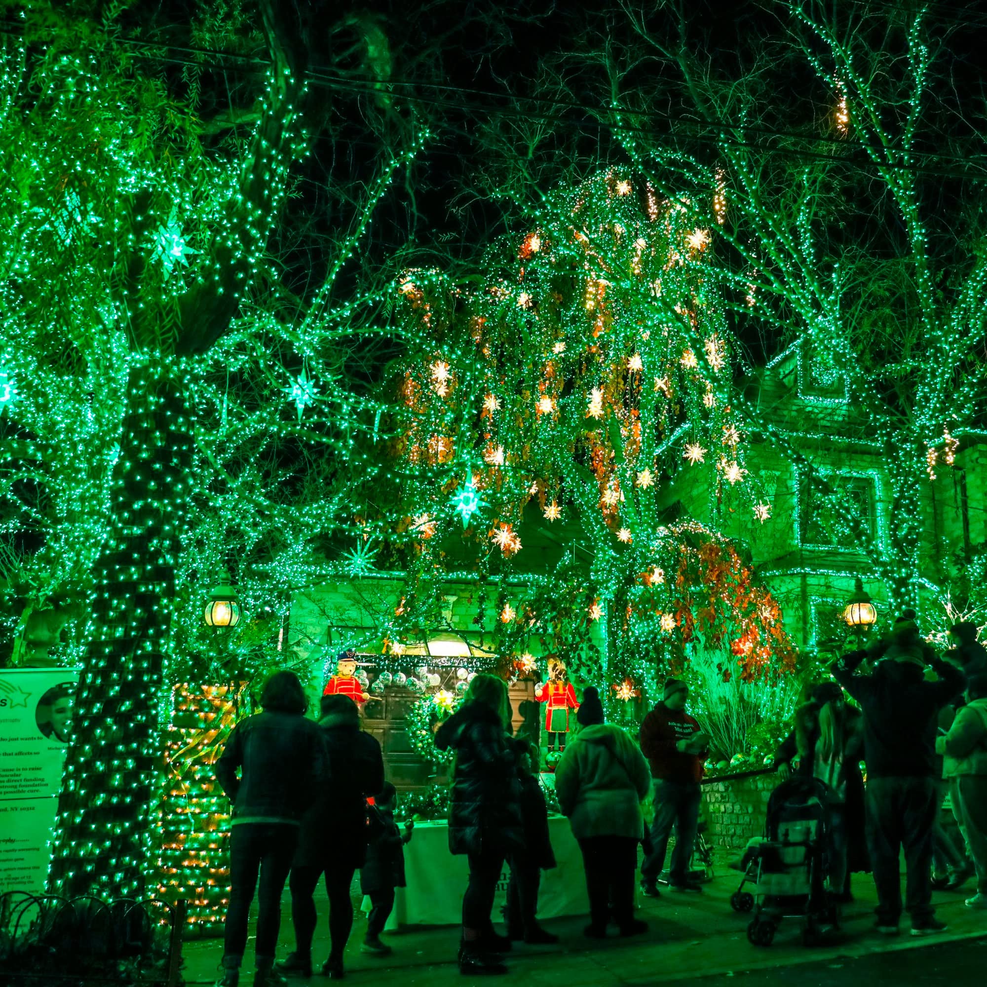 Dazzle Bright 20FT LED Fairy Lights - Battery Operated Waterproof String Lights for St. Patrick's Day & Christmas Decor - Indoor/Outdoor Use