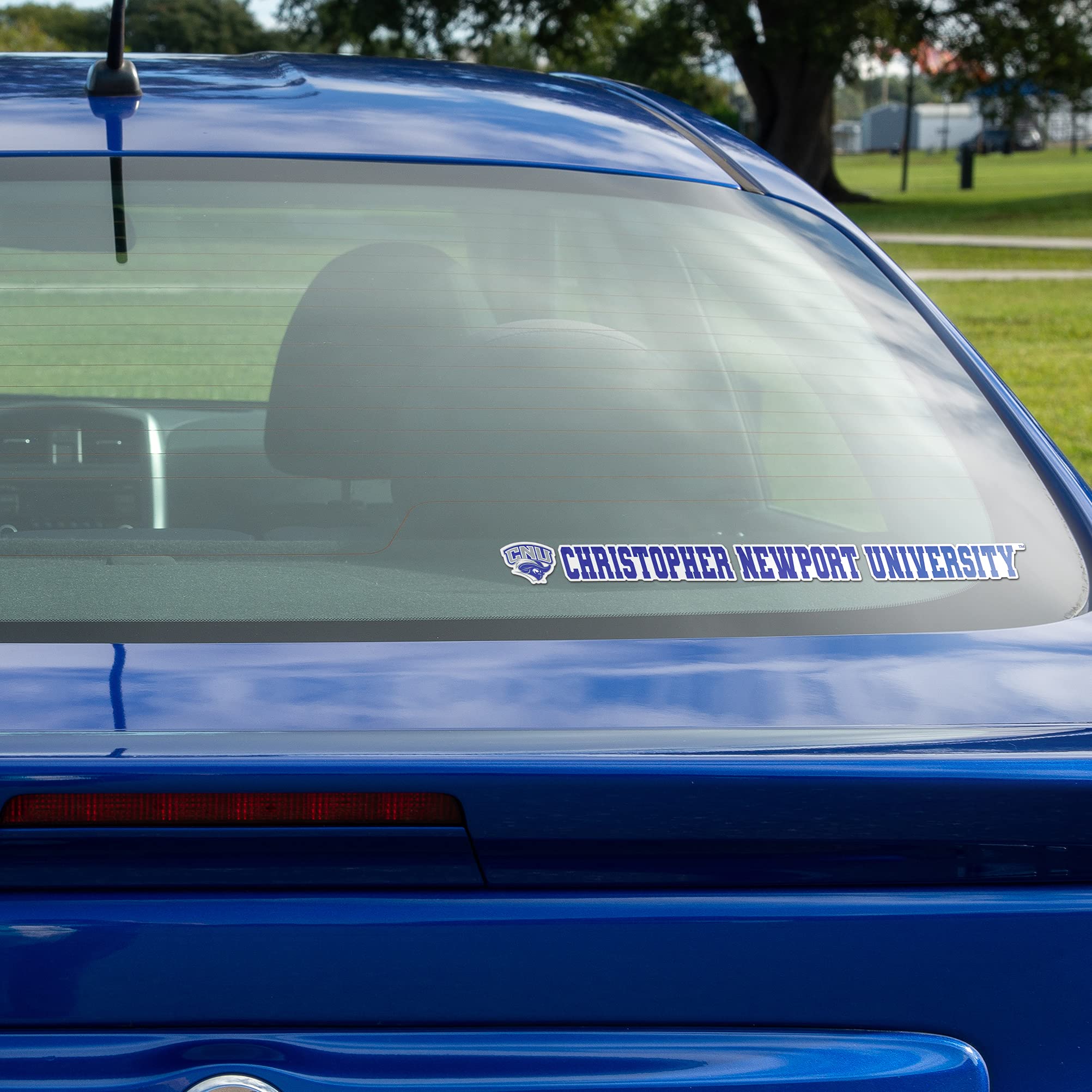 Christopher Newport University CNU Captains Desert Cactus Vinyl Decal Sticker - 15 Inch Waterproof Laptop, Water Bottle, Car, Scrapbook Decoration - Perfect for School Spirit, Dorm Room, College Pride & Gift Giving