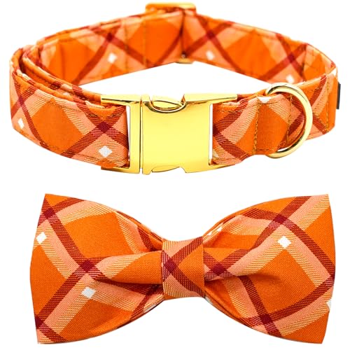 Pumpkin Plaid