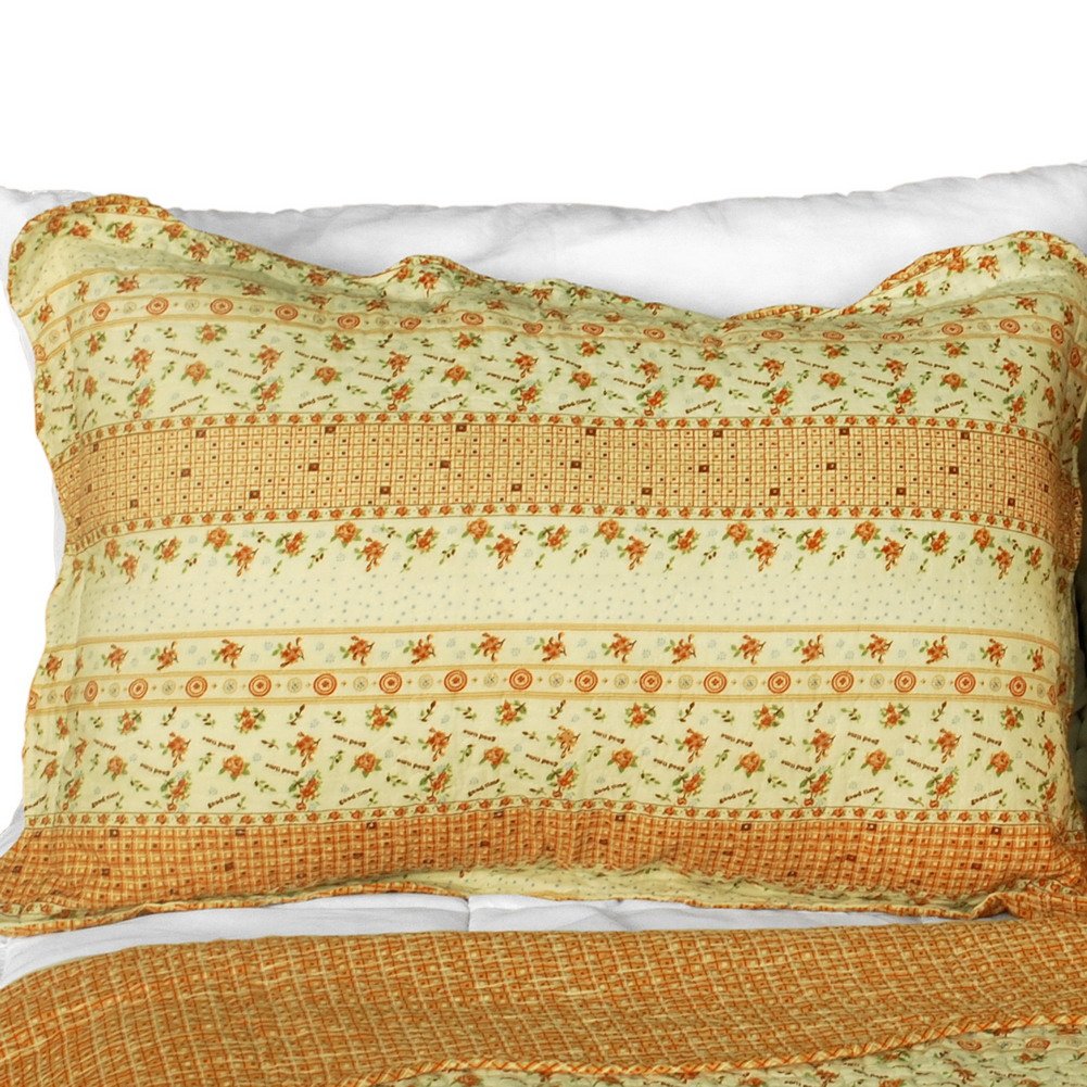 Blancho Bedding 3-Piece Cotton Vermicelli-Quilted Printed Quilt Set - Full/Queen Size - Soft & Breathable Bed Cover for Cozy Nights - Perfect for Master Bedroom, Guest Room & Dorm Decor