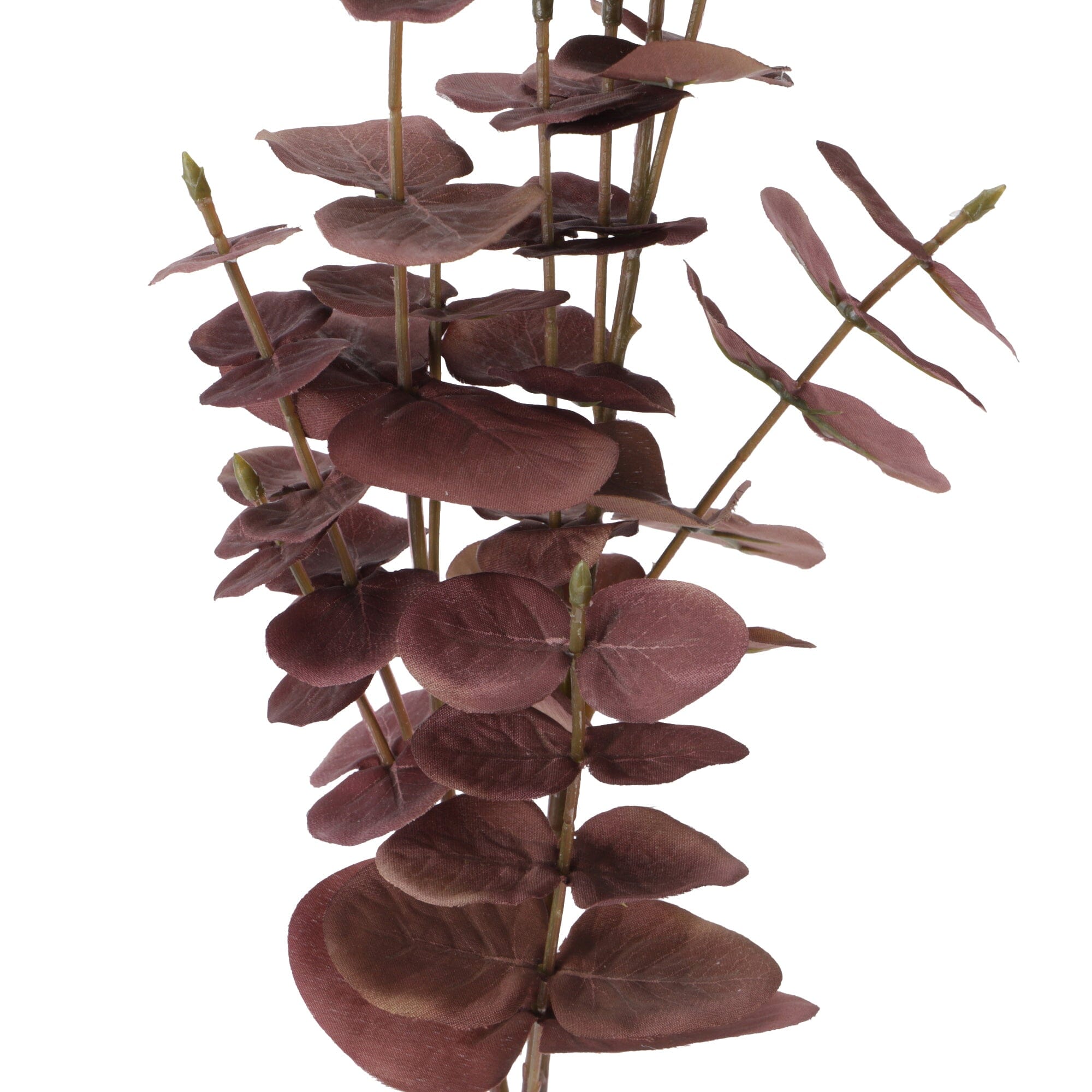 Dried Eucalyptus Stems - Natural Brown Art Flower for Home Decor, Wedding Bouquets, and Rustic Centerpieces