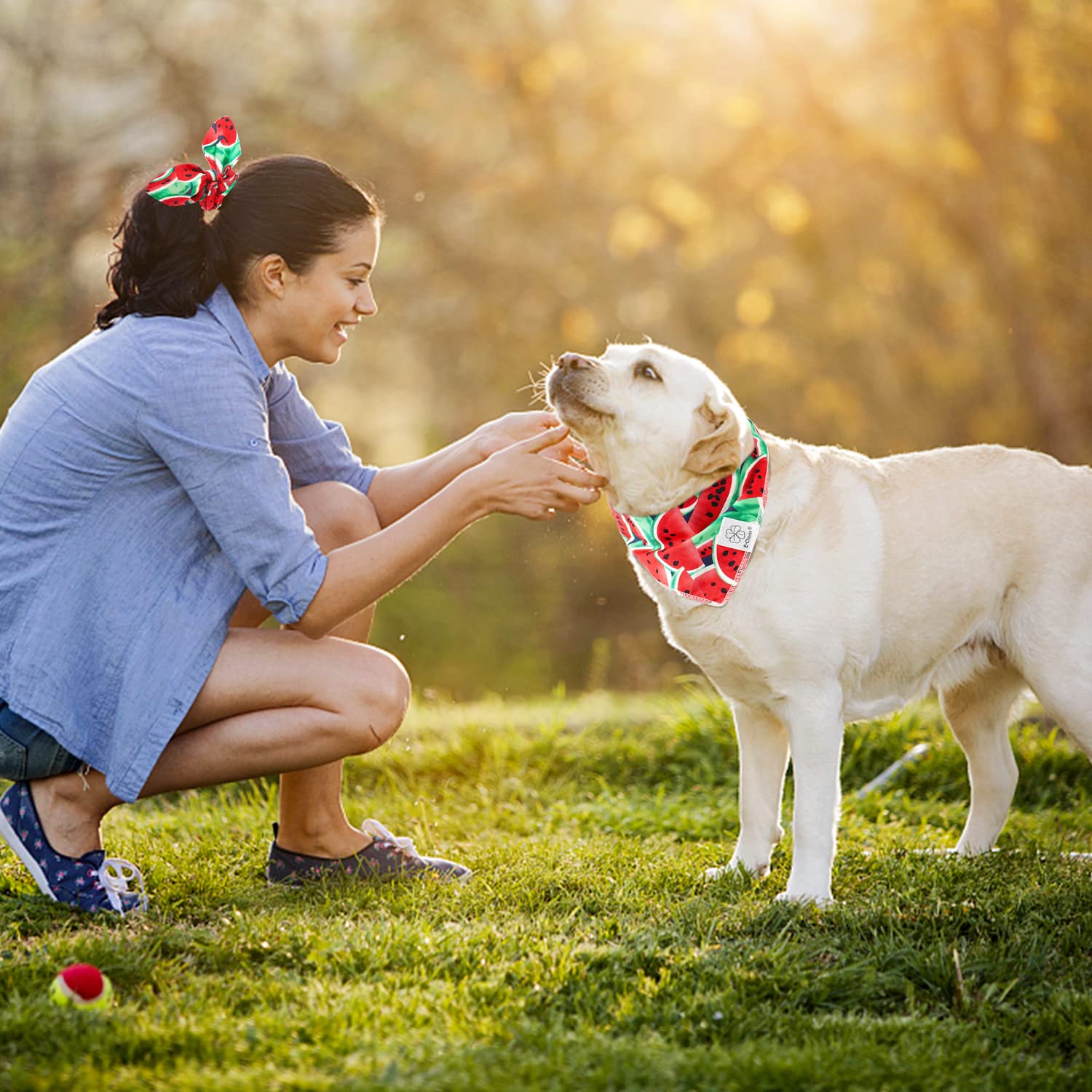 E-Clover Summer Dog Bandanas & Matching Scrunchie Set - Washable Dog Bandana Bibs & Kerchief Scarf for Small Dogs & Puppies - Watermelon Print - Perfect for Pet Outings, Photo Shoots & Matching with Owner