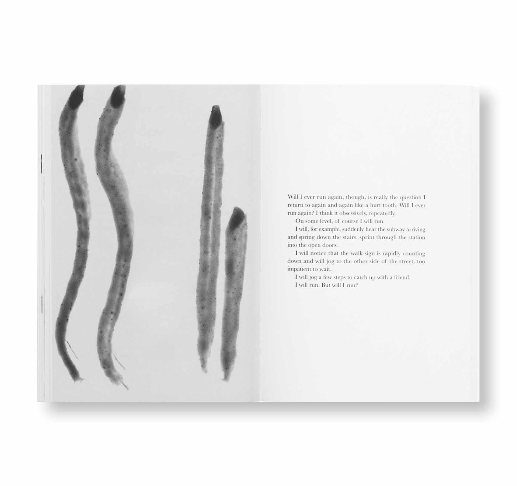 A Rock, A River, A Street by Steffani Jemison - Contemporary Art Book for Collectors & Enthusiasts - Perfect for Home Decor, Art Studies & Gift Giving