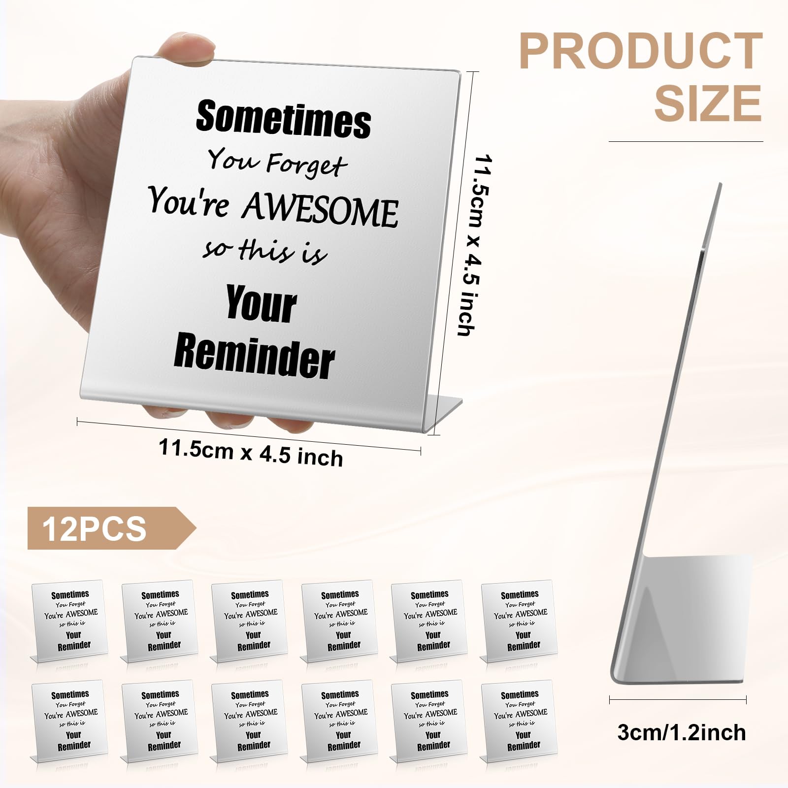 12 Pcs Motivational Plaque Gifts for Teachers, Nurses, Graduation - Silver