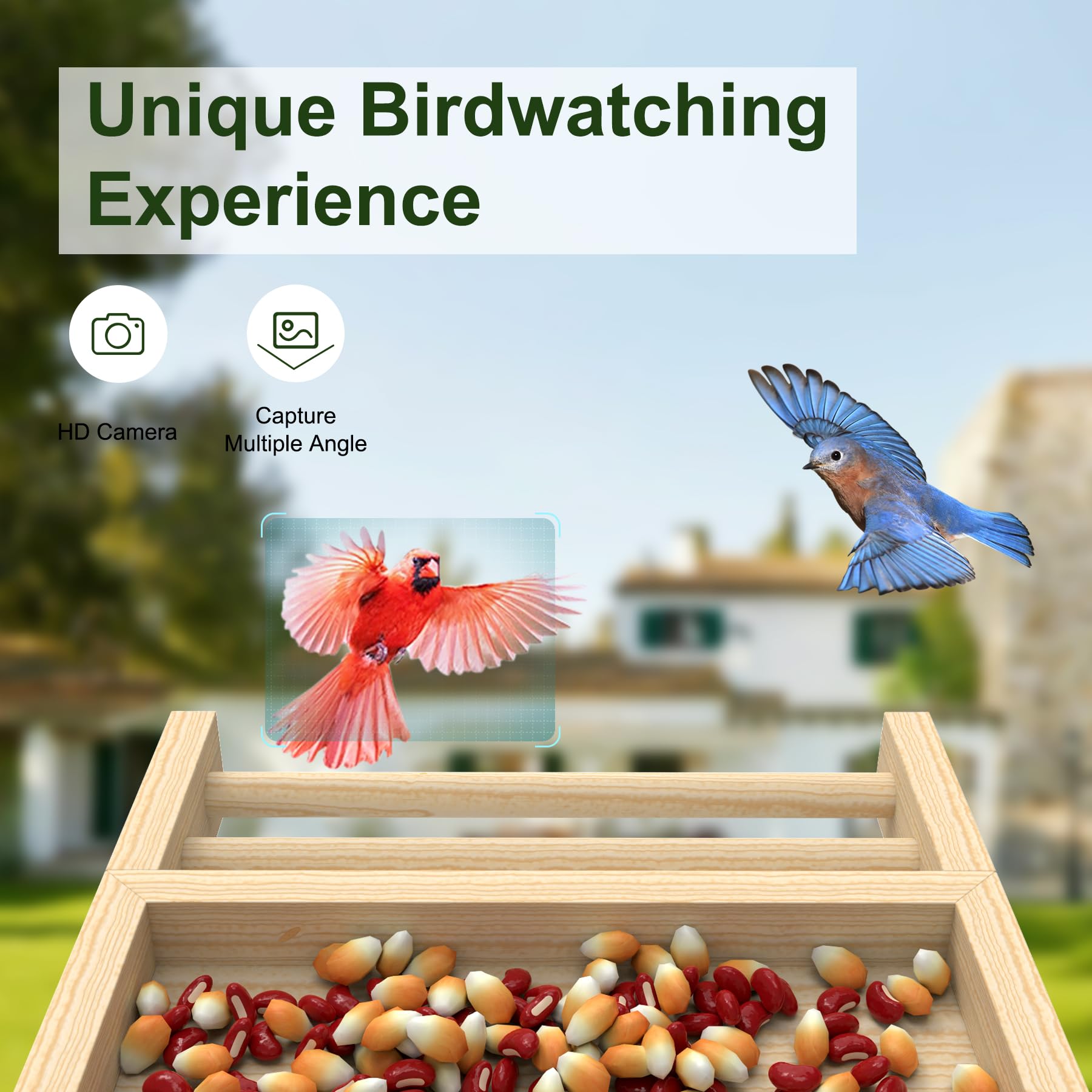 Solar Powered Smart Bird Feeder with Camera - 2K HD Auto Capture, Weatherproof Wooden Birdhouse with Live View - Perfect Gift for Bird Watching Enthusiasts (Backyard, Garden & Wildlife Observation)