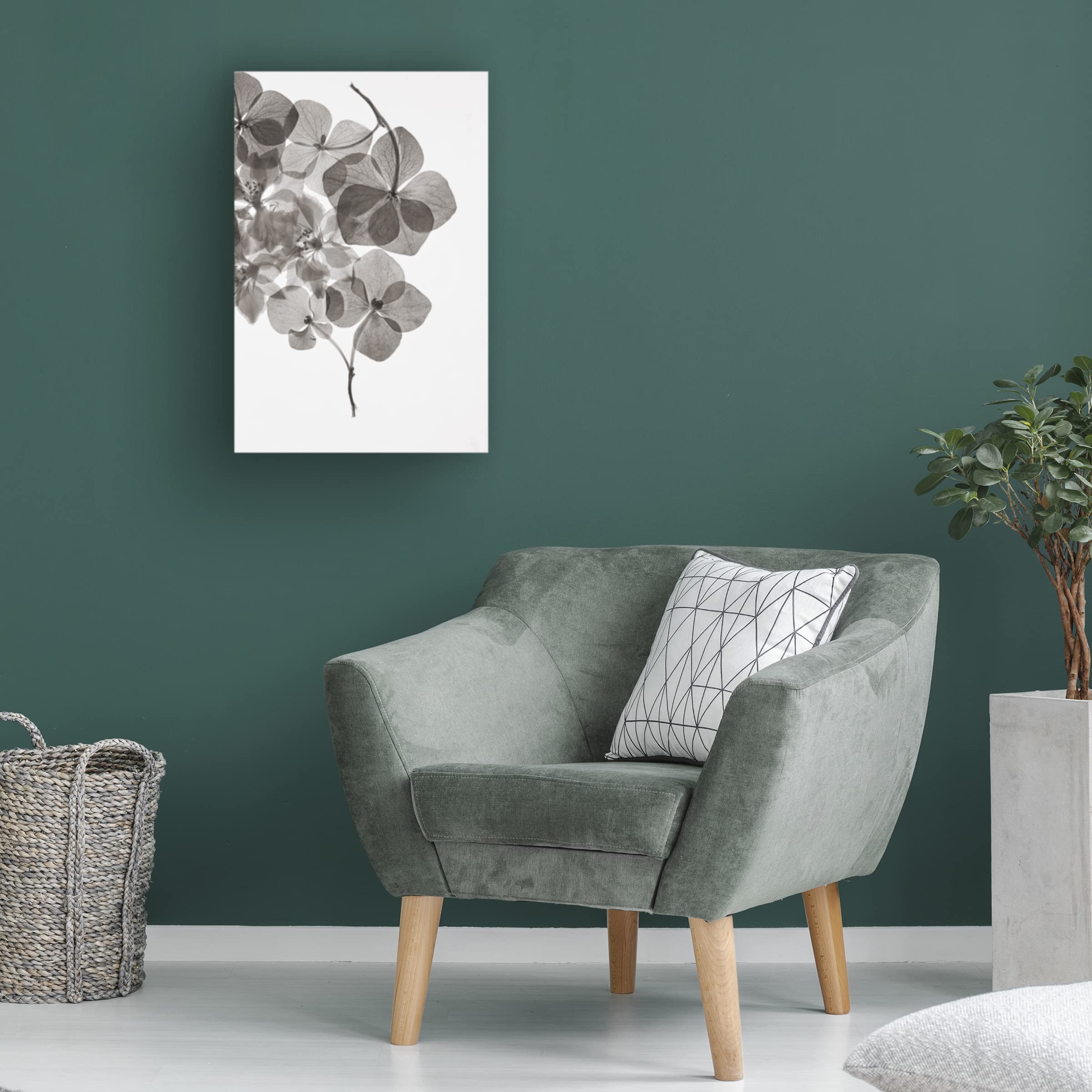 Trademark Fine Art 'Botanical 24' Canvas Wall Art Print by Lenka - Floral Nature Decor for Living Room, Bedroom & Office