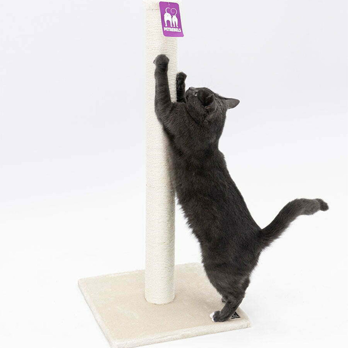 Little Rebels Maine 90cm Cat Tree with Scratching Posts - Multi-Level Cat Condo for Indoor Cats - Perfect for Play, Rest & Climbing - Durable & Stylish Cat Furniture for Home or Office