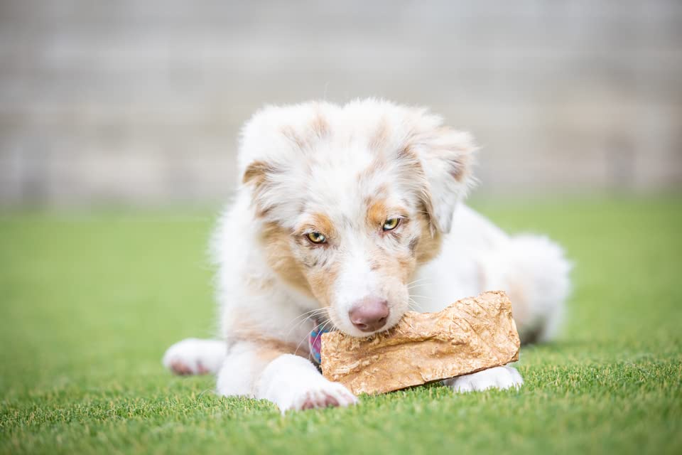 Premium Beef Cheek Chips for Dogs - Extra Thick 2