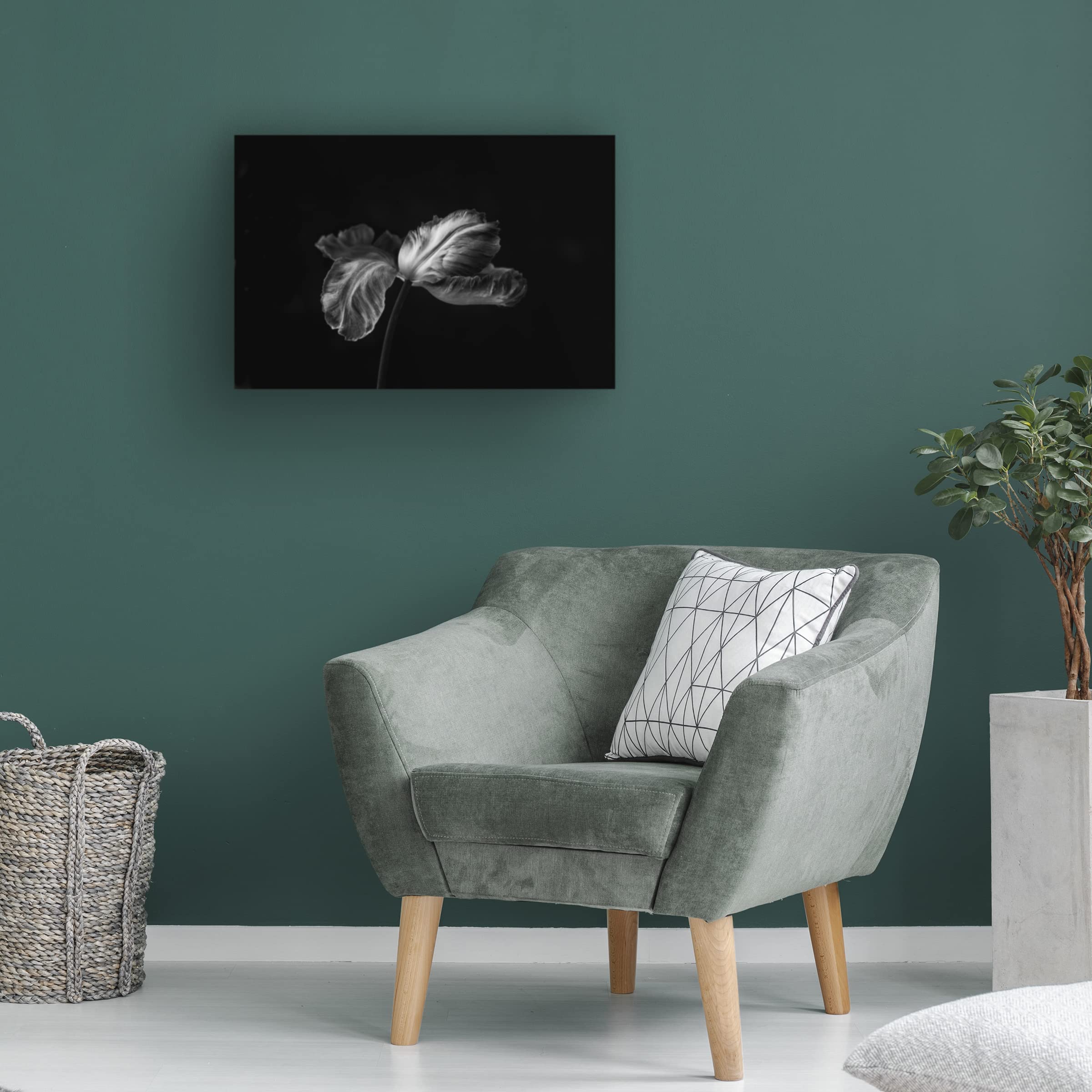 Trademark Fine Art 'Tulip In Mono 2' Canvas Wall Art Print by Lotte Gronkjaer - Floral Home Decor for Living Room, Bedroom & Office
