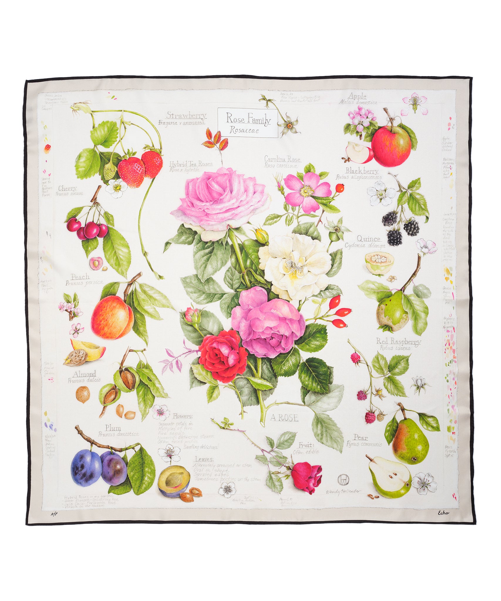 Wendy Hollender Botanical Art Prints - High-Quality Floral & Nature Wall Decor for Home, Office & Gift Giving | Perfect for Living Room, Bedroom & Studio Art Displays