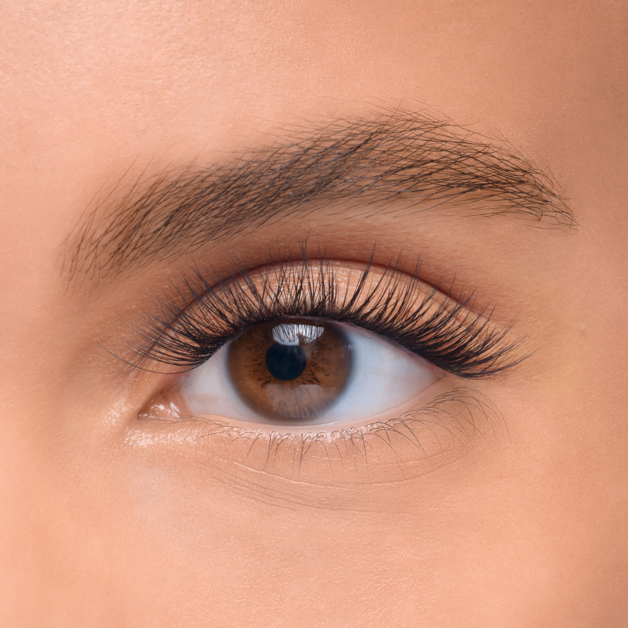 Lashify Control Kit - DIY Lash Extension System for Natural, Fluffy Lashes | Perfect for Everyday Wear, Special Occasions & Bridal Makeup