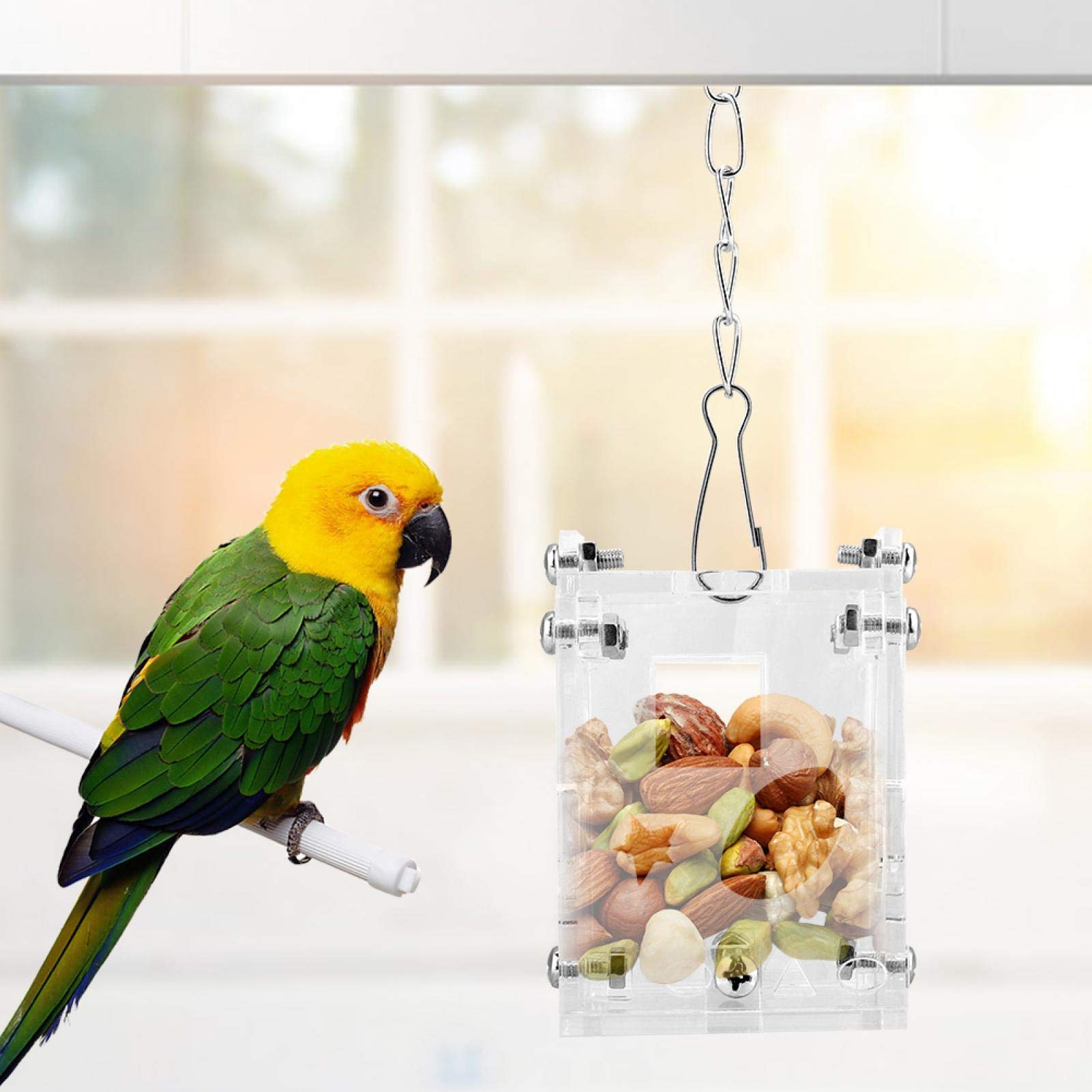 Acrylic Parrot Feeder & Puzzle Toys - Durable Food Basket for Small & Medium Birds Like Parakeets & Cockatiels | Perfect for Training, Enrichment & Feeding Time