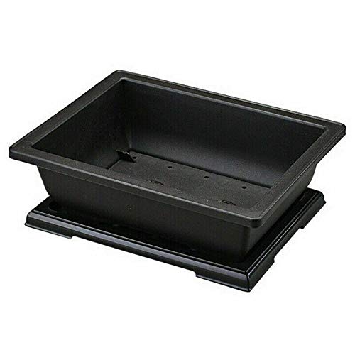10 Pack Large Rectangle Flower Pots - Durable Bonsai Planter for Indoor/Outdoor Plants, Balcony Garden & Nursery Container - Perfect for Herbs, Succulents & Home Decor (10 x 12 Inches)