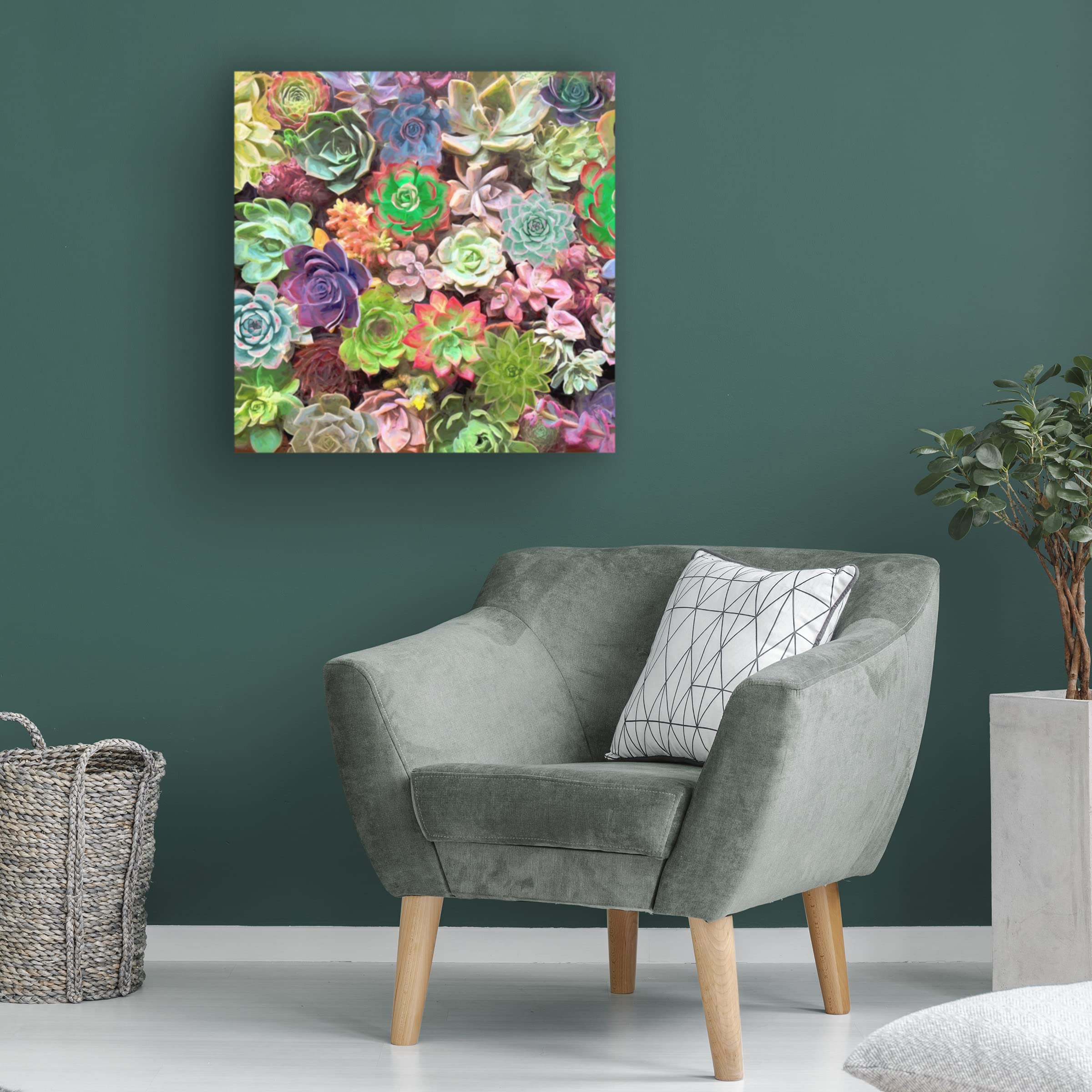 Trademark Fine Art 'Little Succulent Garden II' Canvas Wall Art by Cora Niele - Perfect for Home Decor, Office & Living Room Aesthetic