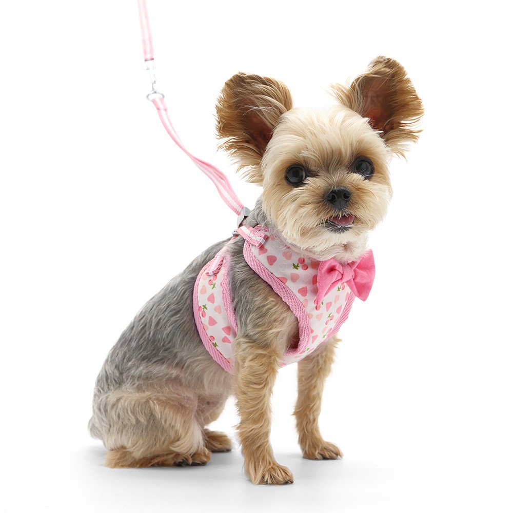 EasyGO Cherish Heart Harness - Adjustable No-Pull Dog Harness for Small & Medium Dogs - Perfect for Walking, Training & Outdoor Adventures
