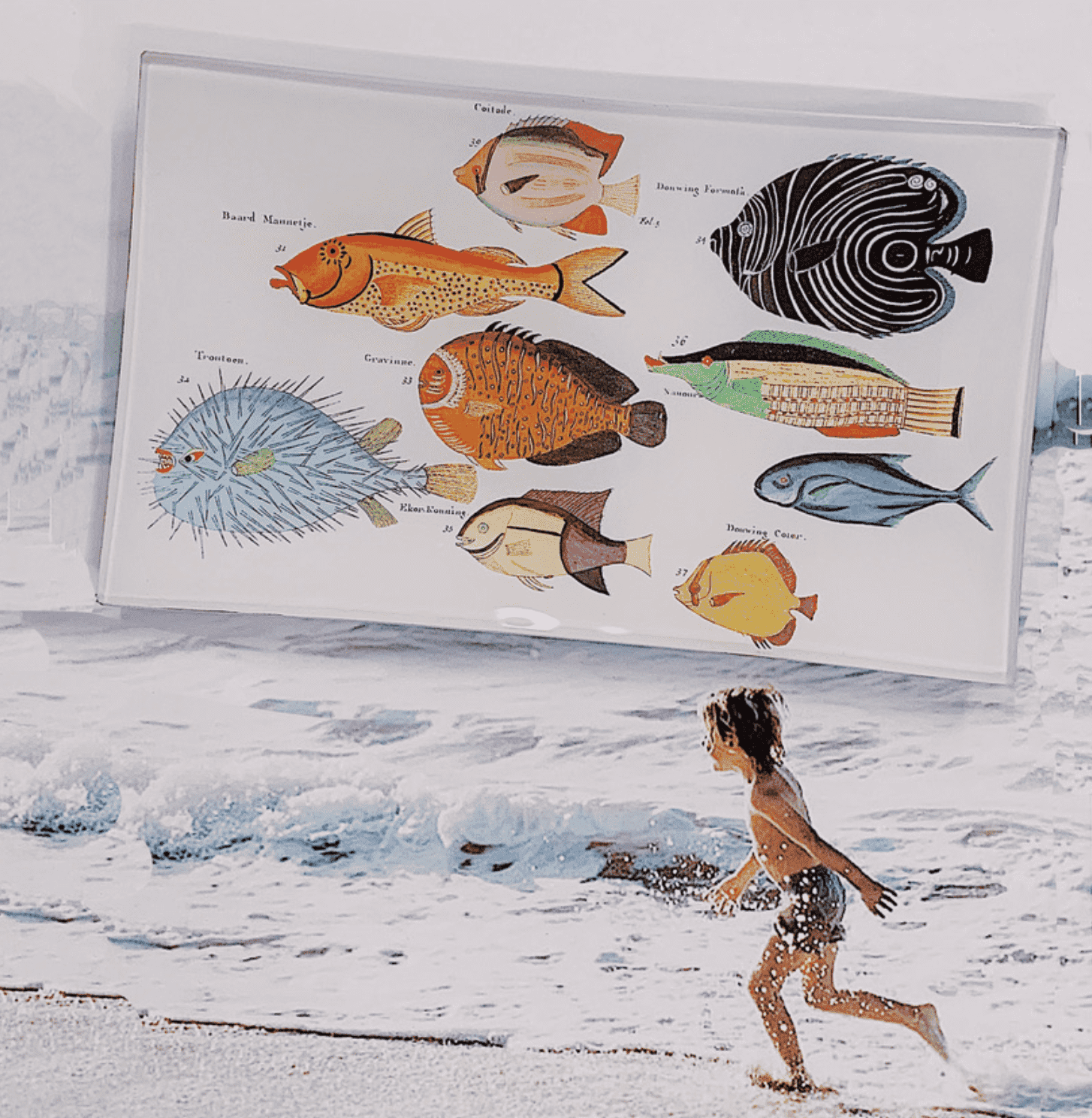 9 School of Fish Decoupage Glass Tray - Elegant Serving Tray for Home Decor, Parties & Gift Giving | Perfect for Coffee Tables, Dining Rooms & Wedding Receptions